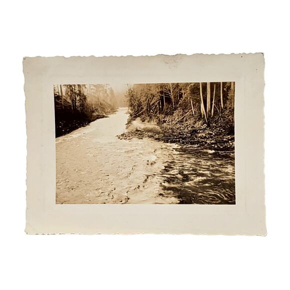 Vtg B&W Original Photo Found 1940s Beautiful Running River Forest Trees Snapshot - Picture 1 of 4